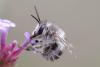 327867 – Photo : Olivier Pouvreau – France (86)